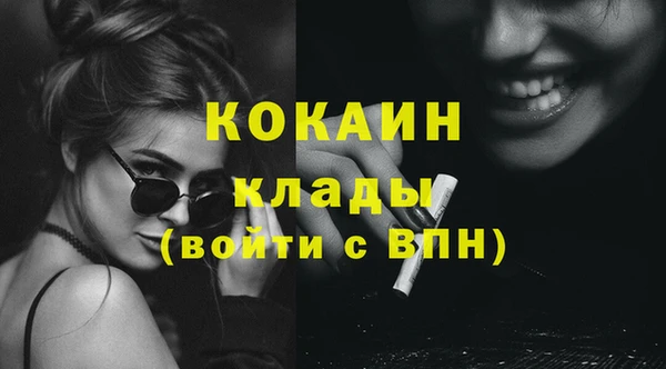 индика Заводоуковск