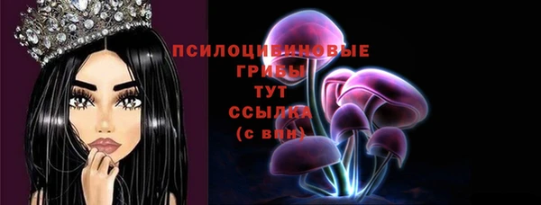 кристаллы Заволжье