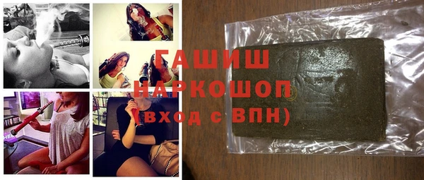 индика Заводоуковск