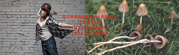 индика Заводоуковск