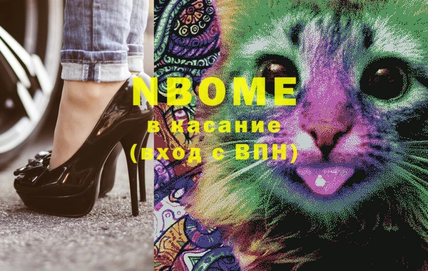 бошки Инта