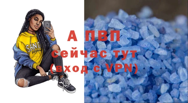 бошки Инта